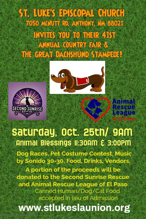 Country Fair Poster 2025